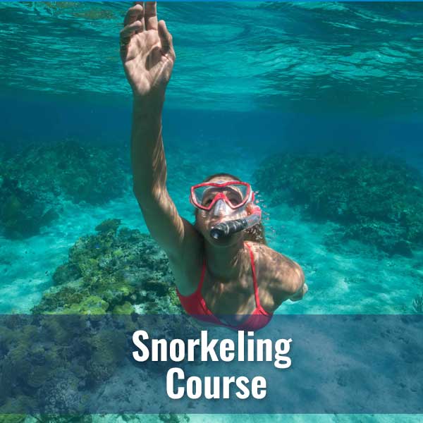 Snorkeling Classes – Diver's World