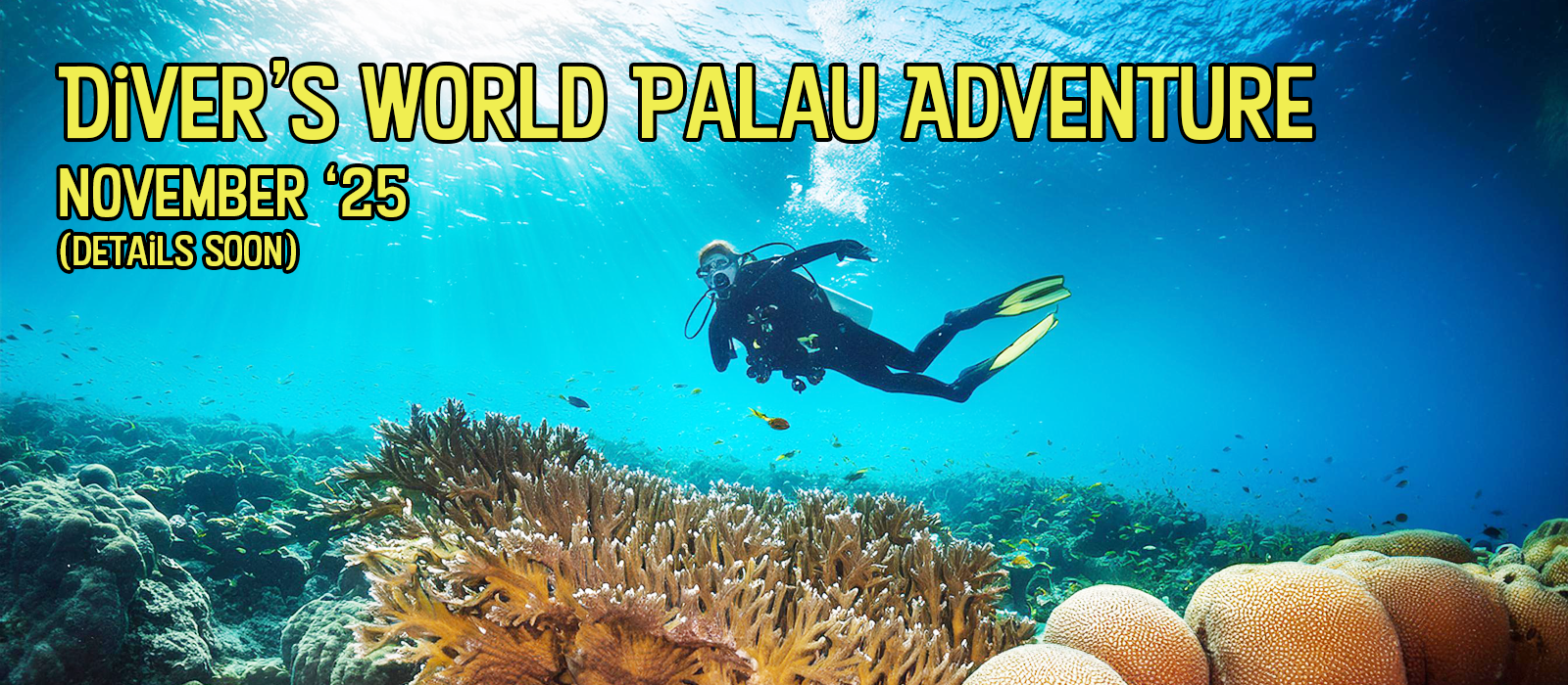 DW Palau